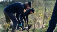 ekovýchovaVýsadby druhově rozmanitějších lesů na Liberecku 2024 - 007